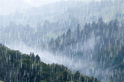 下大雨图片